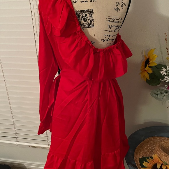 ♦️ CLEARANCE NWT Beautiful sexy Red dress  -size 16 - Picture 8 of 8